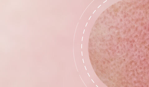 A textured sphere against a soft pink background, with dashed circular lines surrounding it.