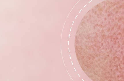 A textured sphere against a soft pink background, with dashed circular lines surrounding it.