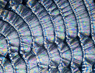 Texture coloree et irisee representant des ecailles de poisson, montrant des motifs geometriques en detail.