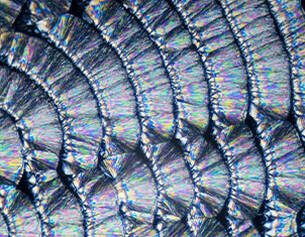 Texture coloree et irisee representant des ecailles de poisson, montrant des motifs geometriques en detail.