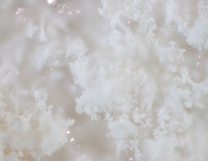 Close-up of fluffy, white crystalline texture resembling snow or a soft cloud.