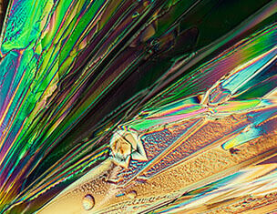 7,7% Complexe Multi-acides