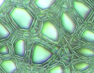 Abstract close-up of textured green bubbles with a shiny, iridescent surface.