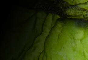 Close-up of a textured, luminous green surface, resembling organic material, with dark shadows enhancing its depth.