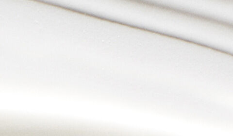 Abstract image featuring smooth, curved lines in varying shades of white against a light background.