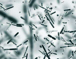 Microscopie d'une variete de bacteries et microorganismes en suspension dans un milieu aqueux, visible en detail.